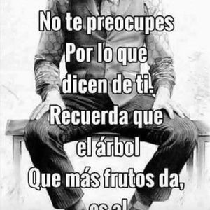 Meet your Posher, Adriano